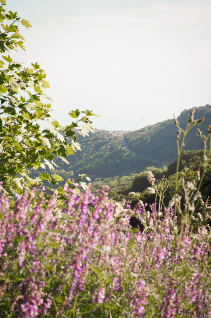 Insights Greece - Complete Travel Guide to East Pelion