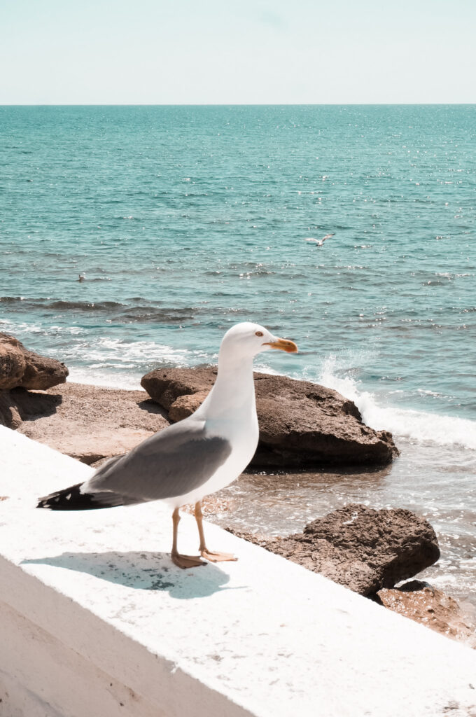 Insights Greece - Visiting Fanari, a Magnificent Seaside Village in Rodopi