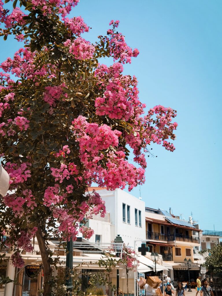 Insights Greece - A Guide to Romantic Skiathos