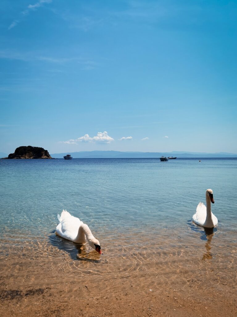 Insights Greece - A Guide to Romantic Skiathos