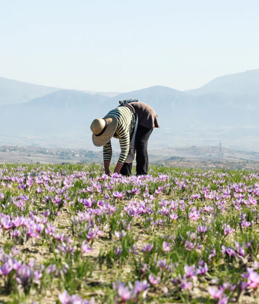 Insights Greece - Our Complete Travel Guide to Kozani 